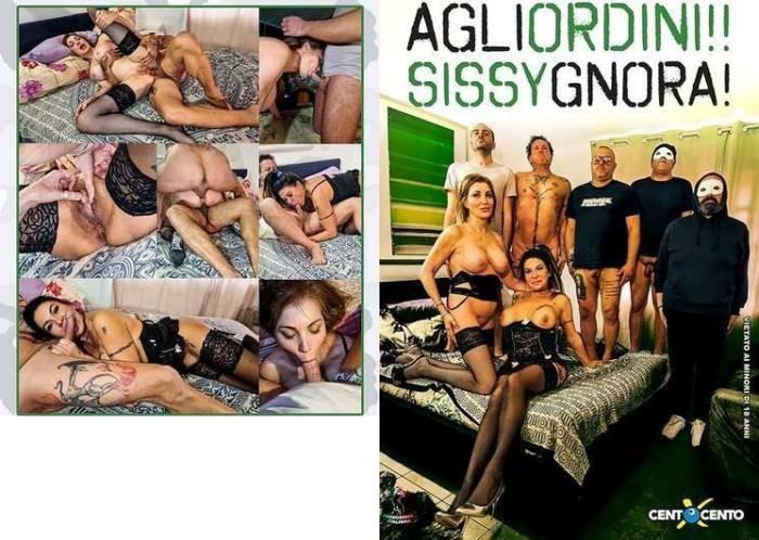 Agliordini Sissygnora