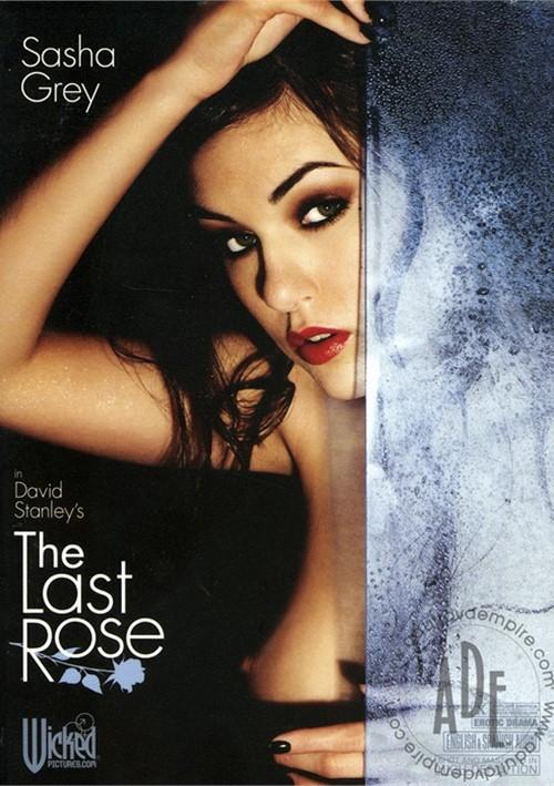 The Last Rose