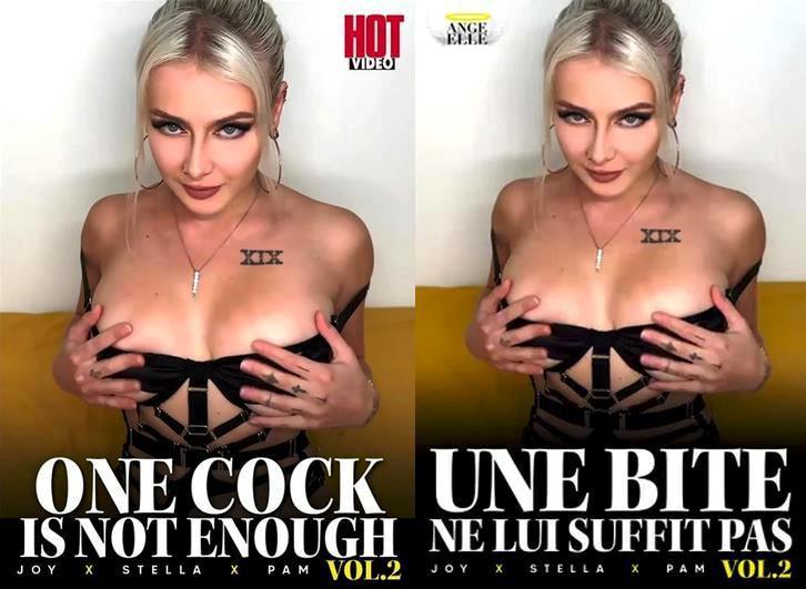 Une Bite Ne Lui Suffit Pas 2 (1080p)