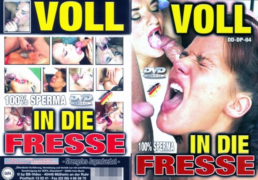 Voll in die Fresse [2006]